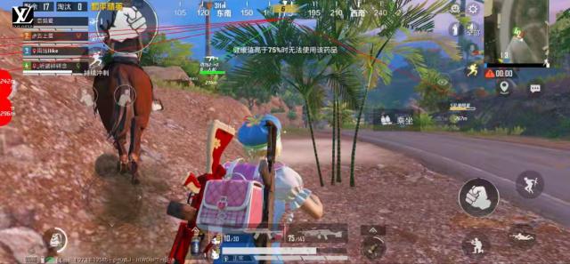 和平精英【青蛙Pro】辅助烟雾漏打/单透/自瞄双版本