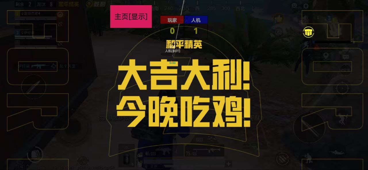 和平精英内核【XO】辅助透视自瞄